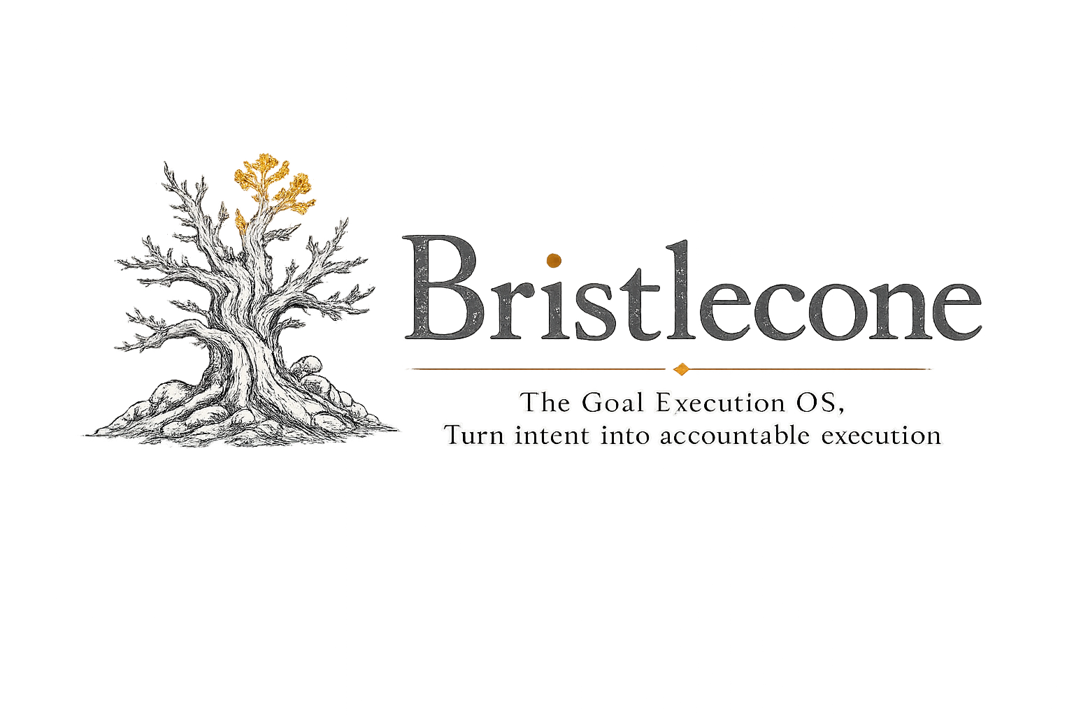 Bristlecone — Turn intent into accountable execution.
